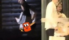 刘大锤爆料最新白鹿视频,精彩瞬间大盘点