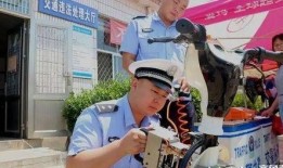 滕州最新爆料新闻视频大全,视频大全揭示城市动态与民生焦点