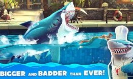 饥饿鲨最新鲨鱼爆料,最新鲨鱼品种大揭秘！