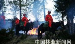 骑兵最新驻防爆料,骑兵最新驻防动态，战略部署再升级