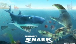 饥饿鲨最新鲨鱼爆料,最新鲨鱼品种大揭秘！