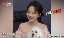 谭松韵邓伦最新爆料,揭秘幕后故事与情感纠葛